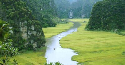 From Hanoi: Ninh Binh & Cuc Phuong National Park 2-Day Tour - Hoa Lu Ancient Capital: ruins that make sense (with context)