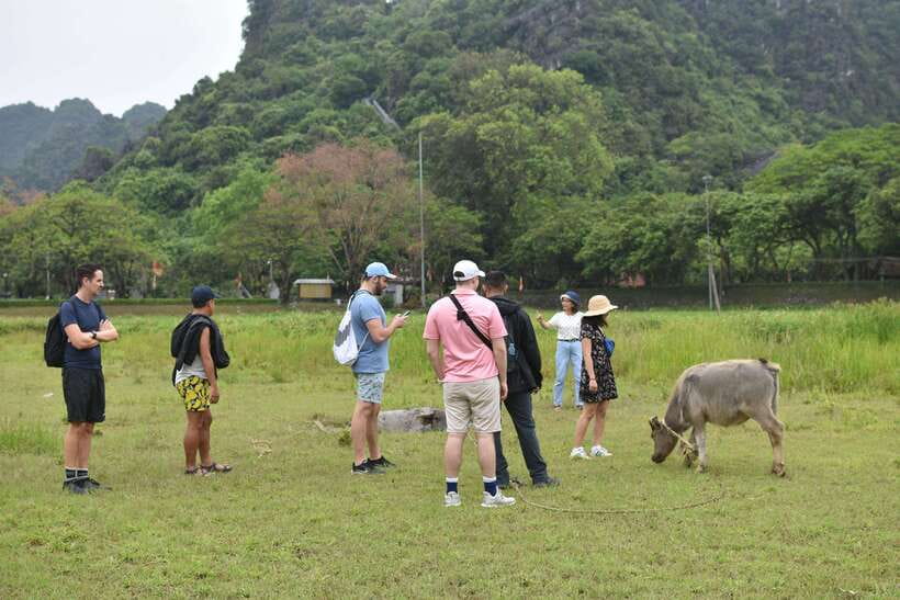 From Hanoi: Ninh Binh, Hoa Lu, Tam Coc, & Mua Cave Day-Trip - How the Timing Breaks Change the Feeling of the Day