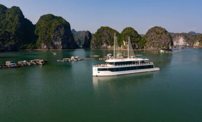 From Hanoi or Halong: Halong Bay Day Cruise - Jade Sails Cruise: modern comfort in Ha Long-style waters