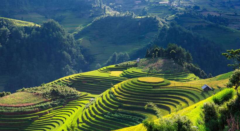 From Hanoi: Premium 2-Day Sapa Adventure with DCAR Limousine - Two routes, two different guide styles: homestay/bungalow vs center hotels