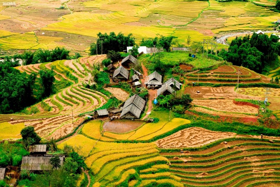 From Hanoi: Sapa 3-Day Medium Trek and Limousine Trip - Hanoi to Sapa by limousine: comfortable ride, don’t treat the clock like gospel