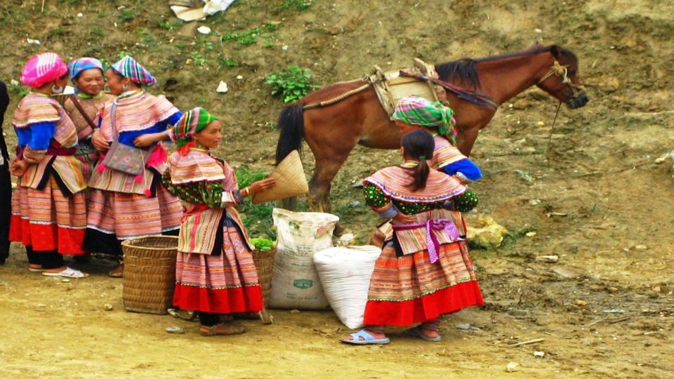 From Hanoi: Sapa 3-Day Medium Trek and Limousine Trip - Day 2 Muong Hoa Valley trek: suspension bridge, rice terraces, and village stops