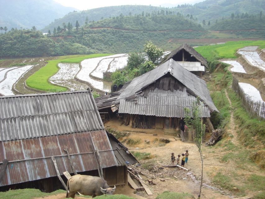 From Hanoi: Sapa 3-Day Medium Trek and Limousine Trip - Day 3 Giang Ta Chai: bamboo forest, waterfall break, Red Zao village finish