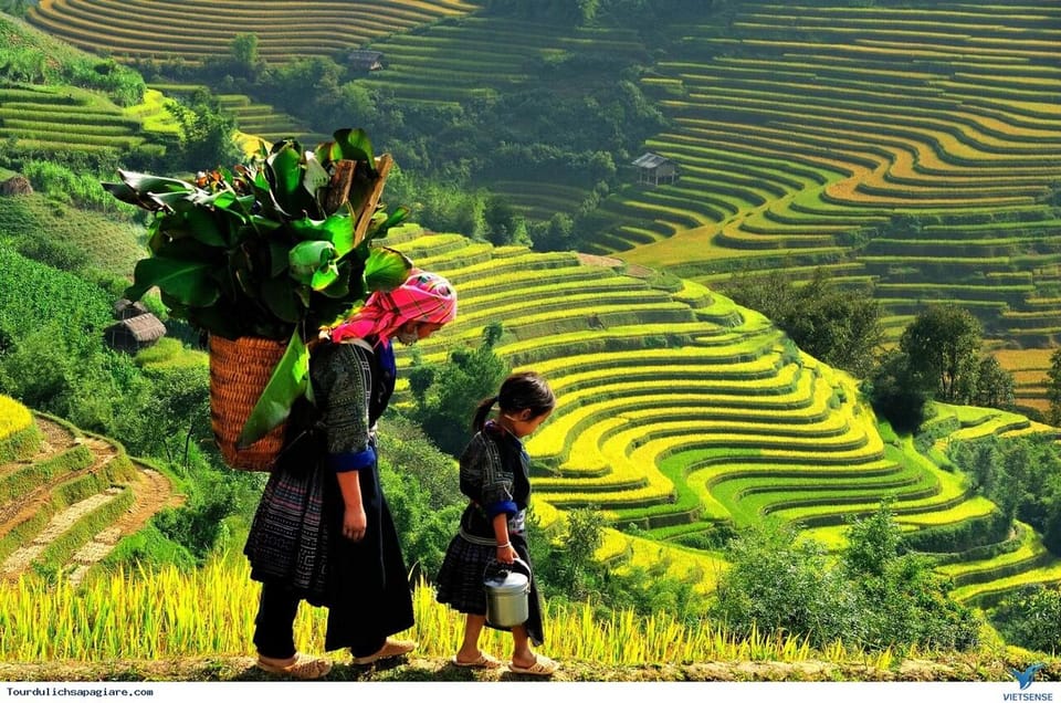From Hanoi: Sapa 3D2N – Cat Cat Village, Fansipan Peak,Moana - Should you book this Sapa 3D2N tour?
