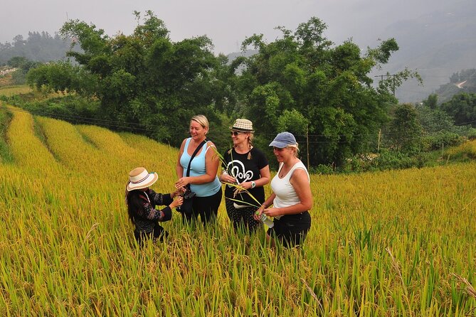 From Hanoi : Sapa Moutain Trek - Halong bay Heritage - Price and what you get for about $372 per person