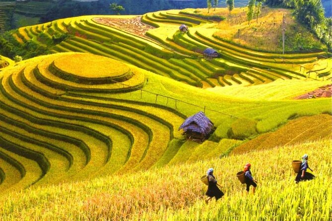 From Hanoi : Sapa Moutain Trek - Halong bay Heritage - Day 1: Hanoi to Sapa, lunch in town, and your first village walk