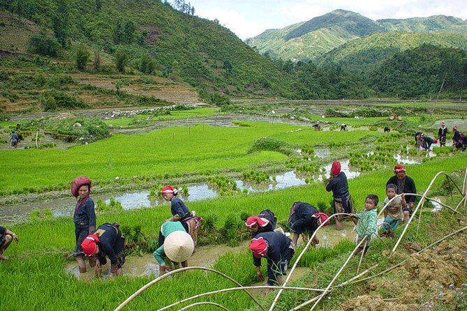 From Hanoi: Sapa Real Experience 2-Day 1 Night at Ethnic Homestay - Getting from Hanoi to Sa Pa without losing a whole day