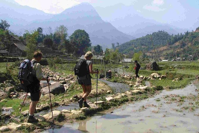 From Hanoi: Sapa Real Experience 2-Day 1 Night at Ethnic Homestay - Day 2: Bamboo forest and terraced fields (where the challenge shows up)