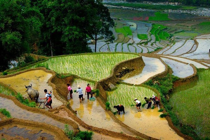 From Hanoi: Sapa Real Experience 2-Day 1 Night at Ethnic Homestay - Sleep and basic comfort: clean, but don’t expect luxury