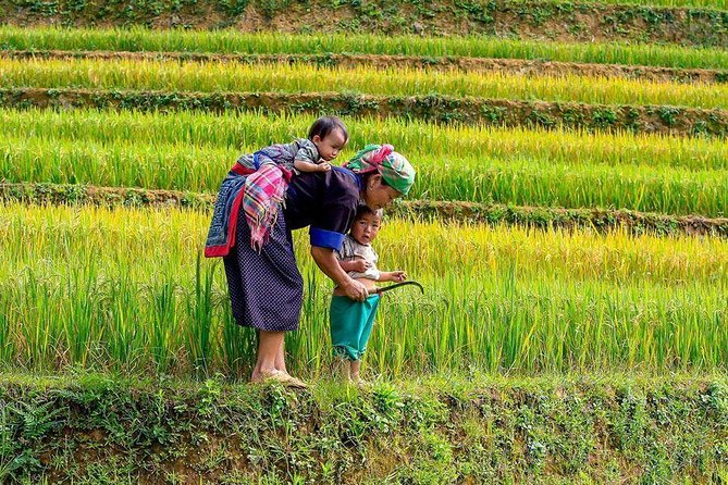 From Hanoi: Sapa Real Experience 2-Day 1 Night at Ethnic Homestay - Gear and conditions: how to avoid turning a great trek into a miserable one