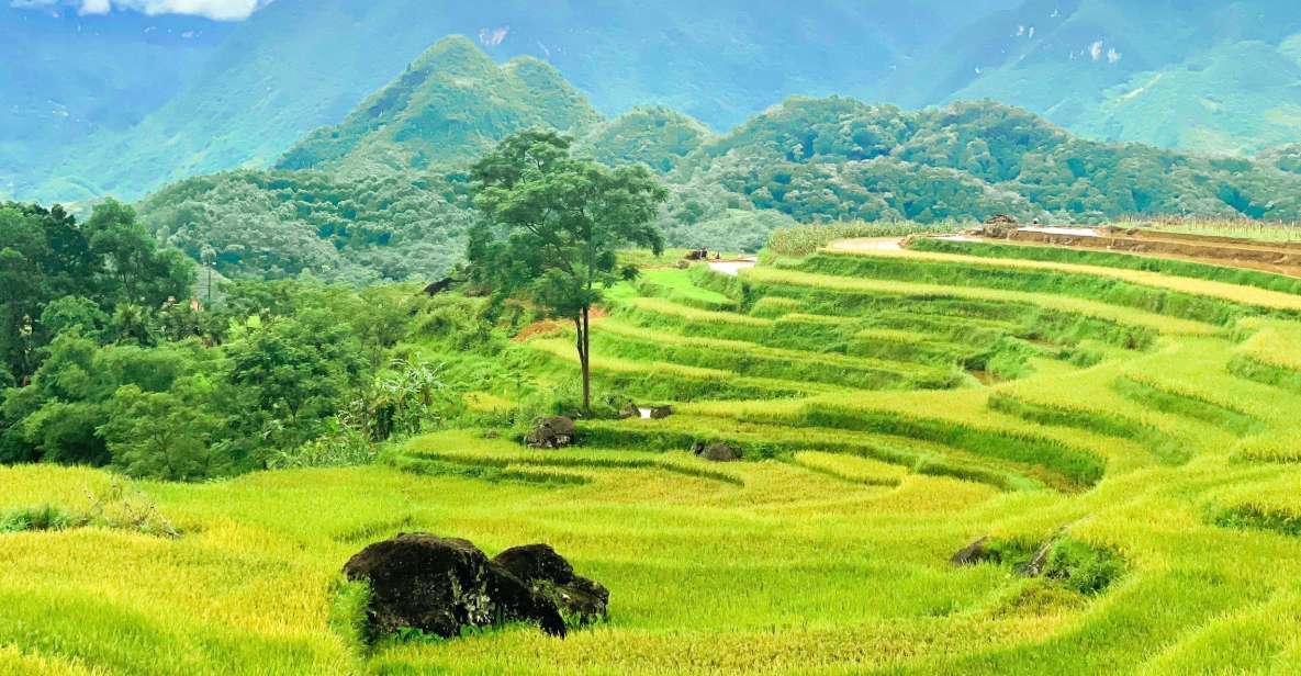 From Hanoi to Pu Luong: 2-Day Trip in Ethnic Villages - Day 1 trekking: hanging bridge, Ba village houses, and Thai bamboo engineering