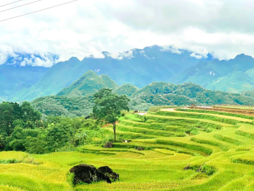 From Hanoi to Pu Luong: 2-Day Trip in Ethnic Villages - Com Lam and Thung Khe Pass: a quick taste stop that helps the whole trip land