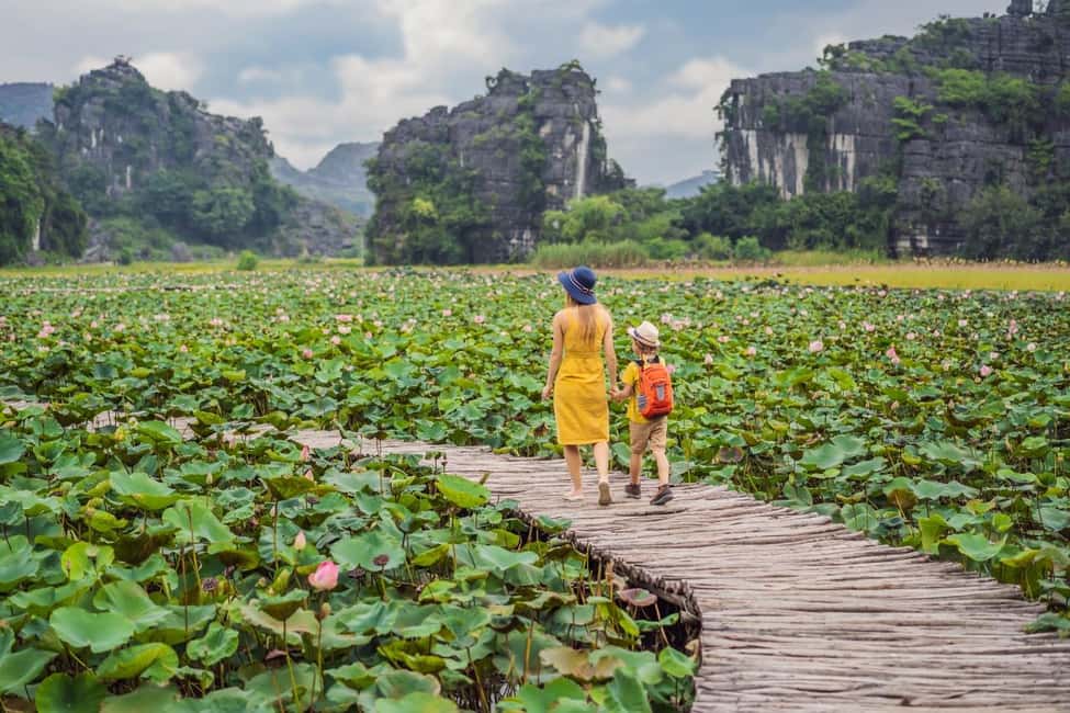 From Hanoi: Trang An Eco-tourism -Bai Dinh pagoda & Mua Cave - Lunch at Trang An Eco Holiday Retreat: vegetarian option included