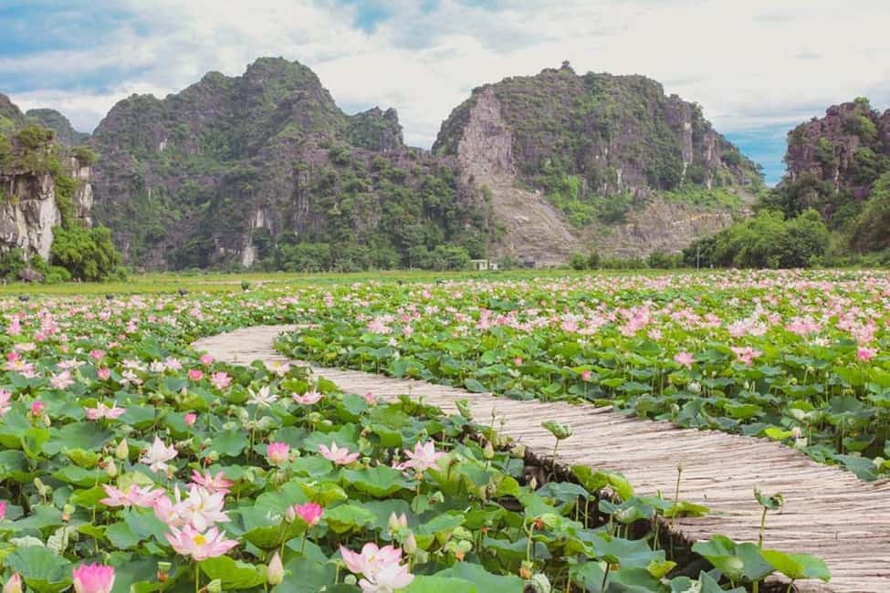 From Hanoi: Trang An eco-tourism - Hoa Lu ancient & Mua Cave - Hoa Lu Ancient Capital: Temples, Power, and Stories You Can Actually Place