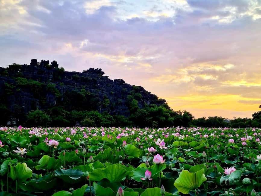 From Hanoi: Trang An eco-tourism - Hoa Lu ancient & Mua Cave - Mua Cave and Hang Mua: 500 Steps, Big Views, Heat Management