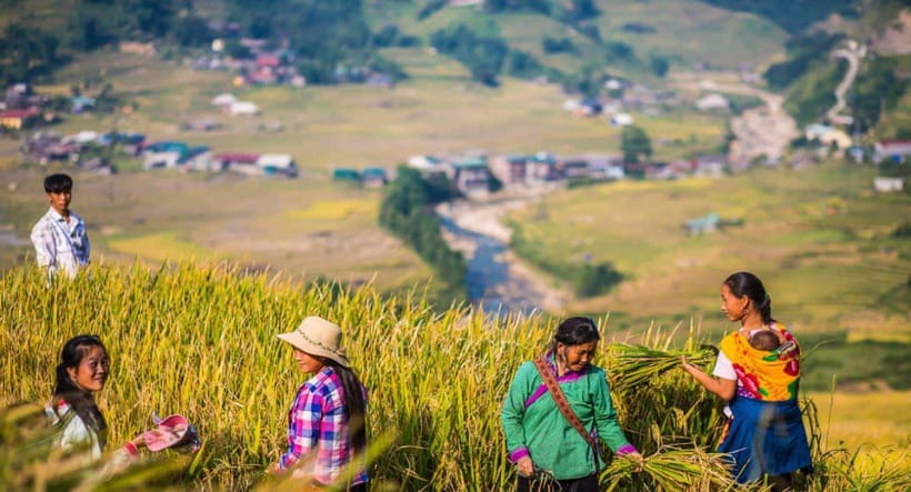 From Hanoi: Trek and Stay: 3-Day Sapa Highlands Adventure - Who This Trip Suits Best (and Who Might Feel Mismatch)