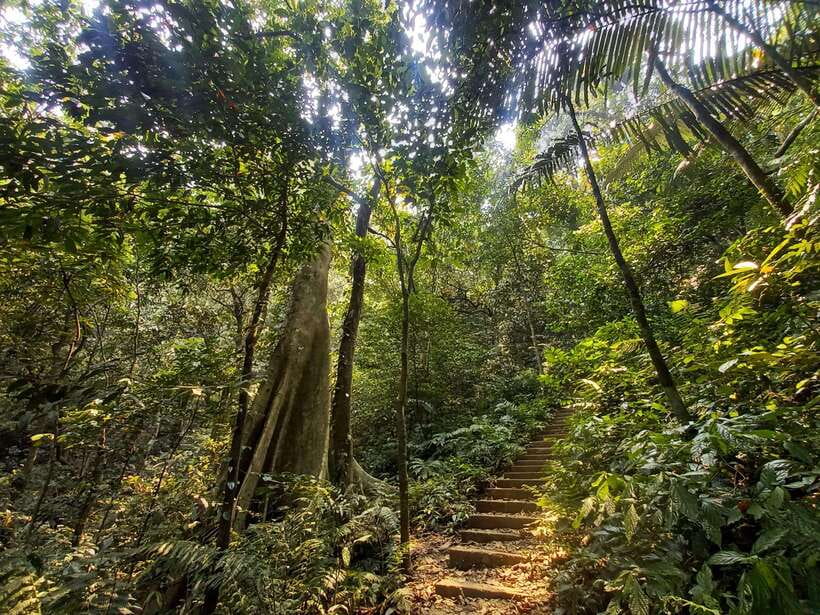 From Ninh Binh: Cuc Phuong National Park 1-Day Small Group - Who should book this Cuc Phuong day trip