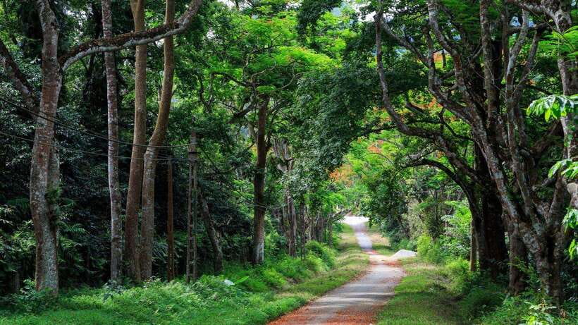 From Ninh Binh: Cuc Phuong National Park 1-Day Small Group - Pickup, drive time, and how the day really moves