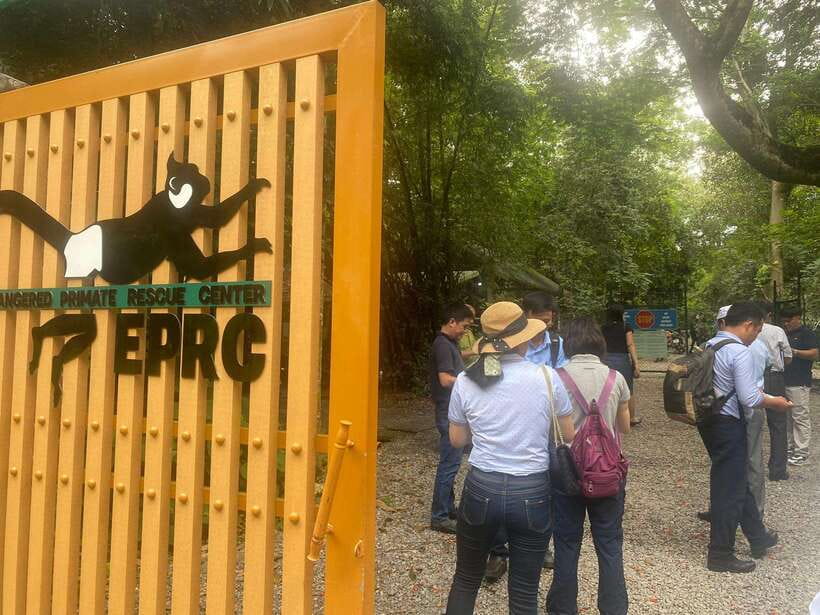 From Ninh Binh: Cuc Phuong National Park 1-Day Small Group - Cave of Prehistoric Man: why it fits this day