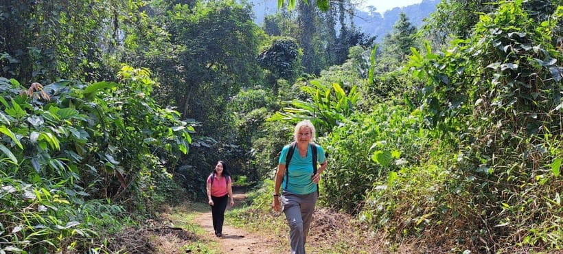 From Ninh Binh: Cuc Phuong National Park 1-Day Small Group - The main event: hikes to the 1000 Years Old Tree and the Ancient Tree