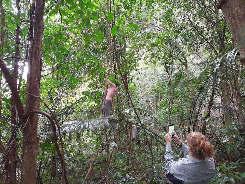 From Ninh Binh: Cuc Phuong National Park Trekking Day Tour - Key points to know before you go