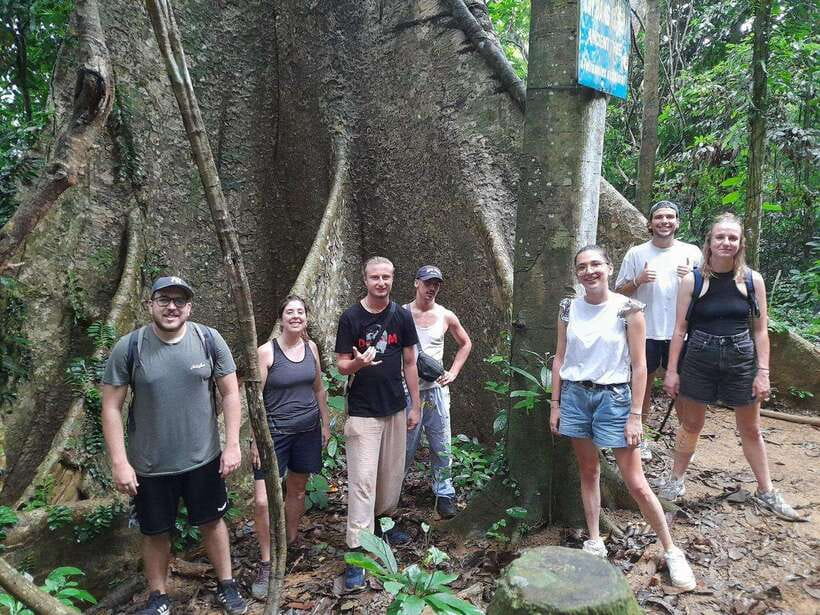 From Ninh Binh: Cuc Phuong National Park Trekking Day Tour - Trekking to the 1000 Years Old Tree: easy-adventurous, with a clear payoff
