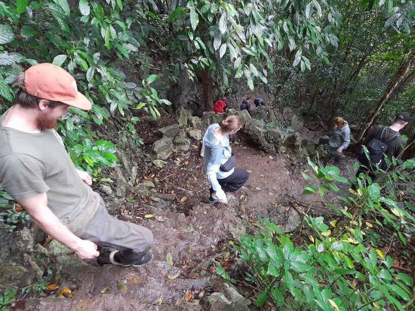 From Ninh Binh: Cuc Phuong National Park Trekking Day Tour - Pace and guide style: how to get the most from the day