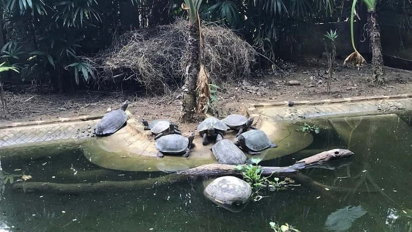 From Ninh Binh: Cuc Phuong - Van Long Reserve - Small Groups - What to bring so the day feels good, not tough