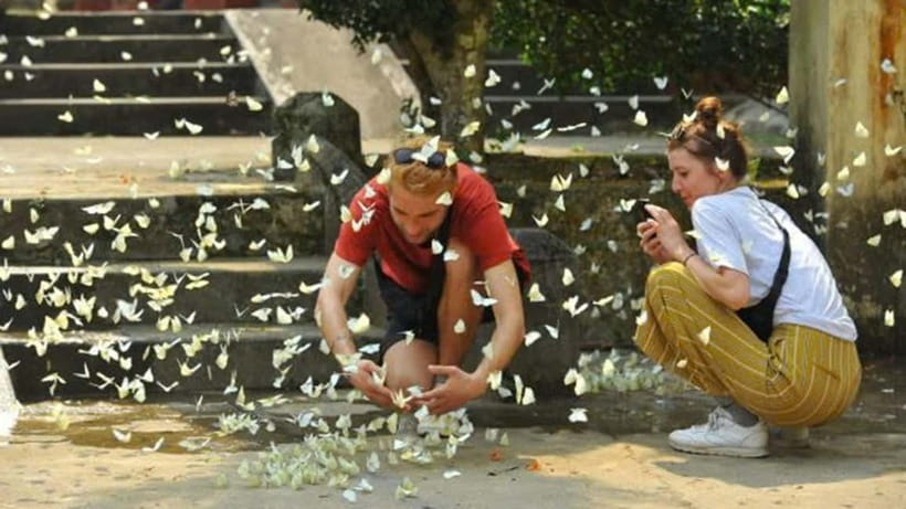 From Ninh Binh: Cuc Phuong - Van Long Small Group Tours - Who should book this tour, and who should skip it