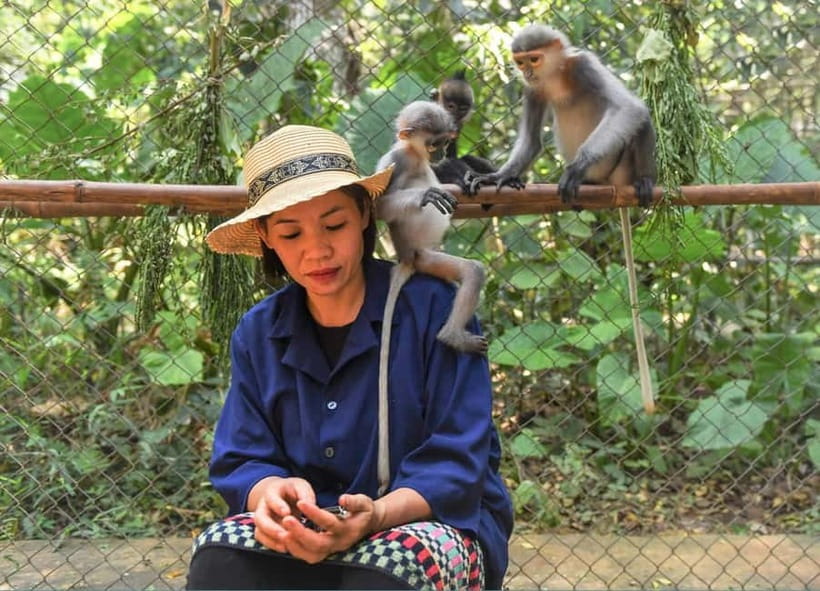 From Ninh Binh: Cuc Phuong - Van Long Small Group Tours - The ancient tree trek and Cave of Prehistoric Man