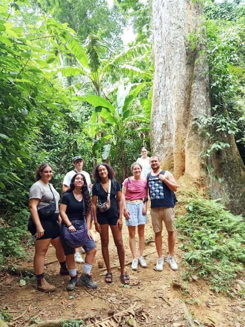 From Ninh Binh: Cuc Phuong - Van Long Small Group Tours - Lunch inside Cuc Phuong: fuel for the jungle day
