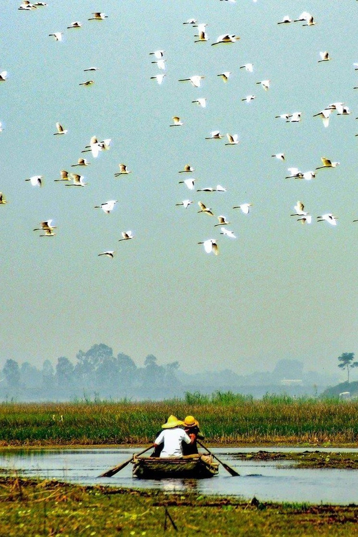 From Ninh Binh: Visit Cuc Phuong National Park - Van Long - Why Van Long and Cuc Phuong click in one day