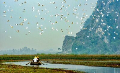 From Ninh Binh: Visit Cuc Phuong National Park - Van Long - Pickup and the drive: Ninh Binh to Cuc Phuong on a small-group minivan