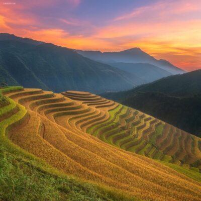 From Sapa: 1-Day Guided Trek to Lao Chai & Ta Van with Lunch - Following the Muong Hoa–Y Linh Ho Stream Through Rice Terraces