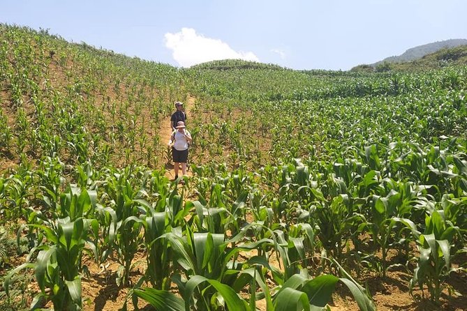 From Sapa: 2-Day Trek Through Authentic Villages in North - Sapa - Day 2: Trung Chai Viewpoints, Picnic Lunch, and More Footpaths