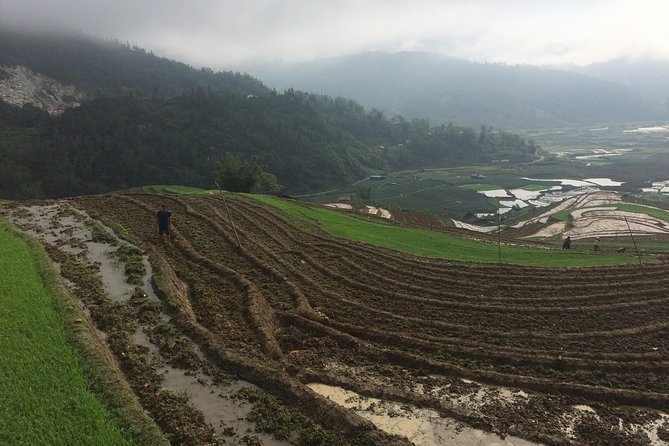 From Sapa: 2-Day Trek Through Authentic Villages in North - Sapa - Meeting at 9:00 AM: Logistics That Shape Your Day