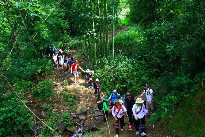 From Sapa: 2 Days 1 Night Trek Over Night At Homestay - Getting picked up and finding your feet in Sapa