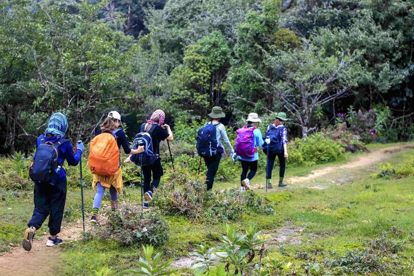 From Sapa: Fansipang Mountain Hike 1 Day - The Real Test: Climbing From 2,400m Toward 2,800m