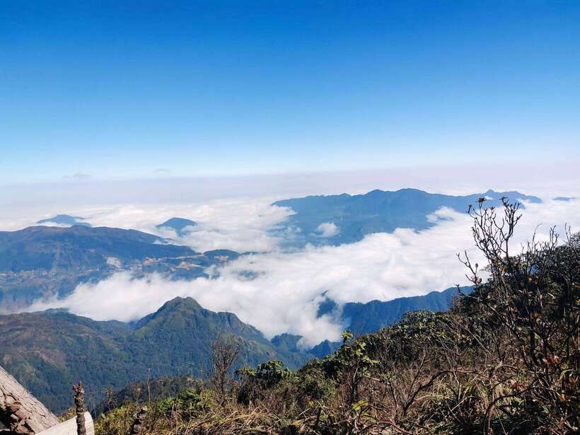 From Sapa: Fansipang Mountain Hike 1 Day - Summit Finish: Medal, Certificate, and the Short Window for Top Views