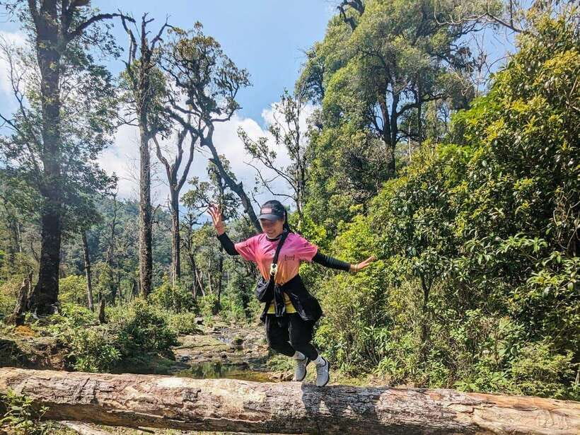 From Sapa: Fansipang Mountain Hike 1 Day - Price and Value: Is $74 a Good Deal for a 1-Day Summit?