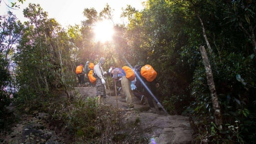 From Sapa: Full-Day Fansipan Peak Trekking Tour - Morning Forest Trek: Pines, Bamboo Groves, and a Breakfast Break