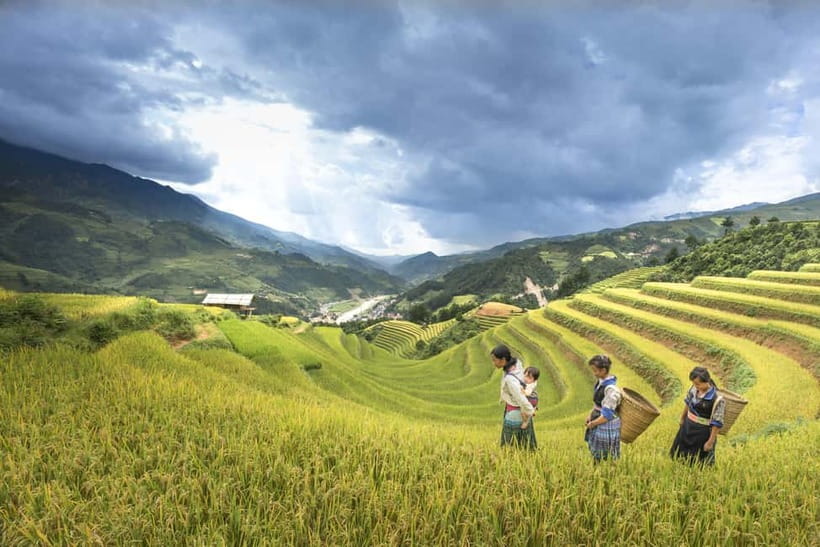 From Sapa Homestay Hideaway 2-Day Local Life Adventure - Day 1 from Y Linh Ho to Lao Chai, with Ta Van as the warm landing