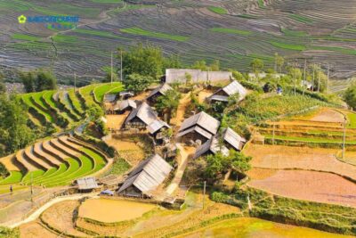 From Sapa: Terrace Fields and Local Villages Trek with Lunch - Terraced rice, corn, and potato fields on a quieter route