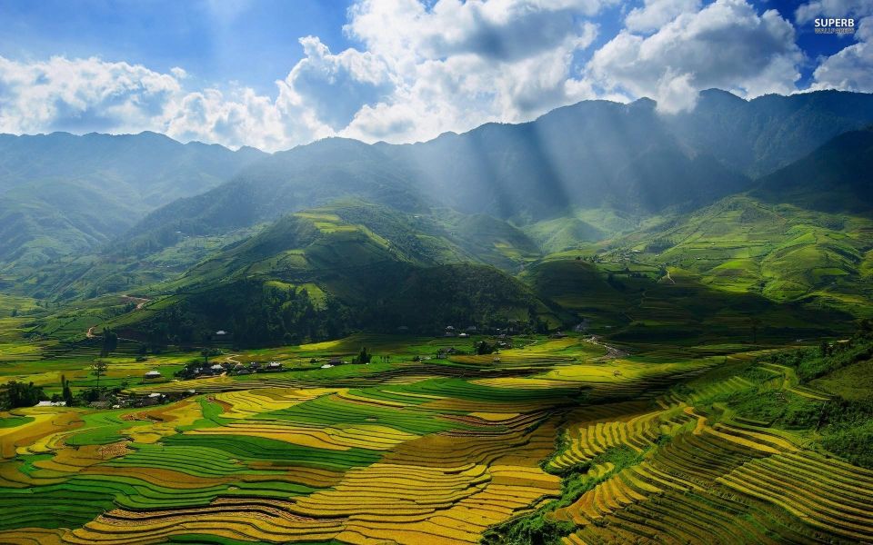 From Sapa: Terrace Fields and Local Villages Trek with Lunch - Price and value for around $22