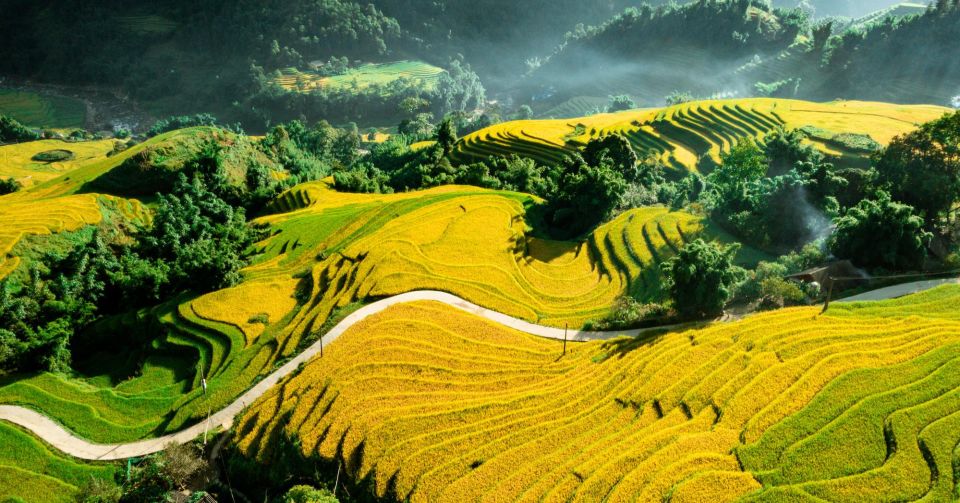 From Sapa: Terrace Fields and Local Villages Trek with Lunch - Should you book the Sapa terrace fields and village trek?