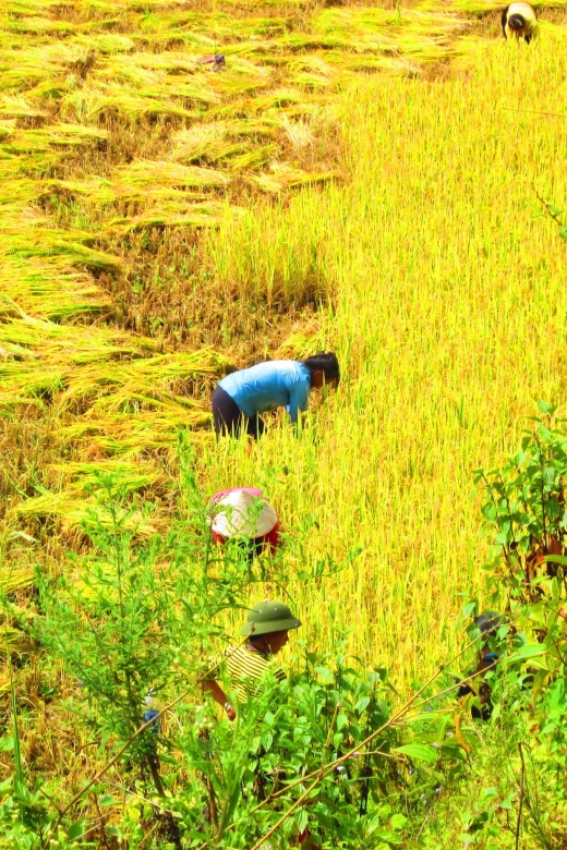 From Sapa: Waterfalls, Trekking and Tribal Villages Tour - From Ban Khoan onto the trail: rice paddies, mountain paths, and real walking