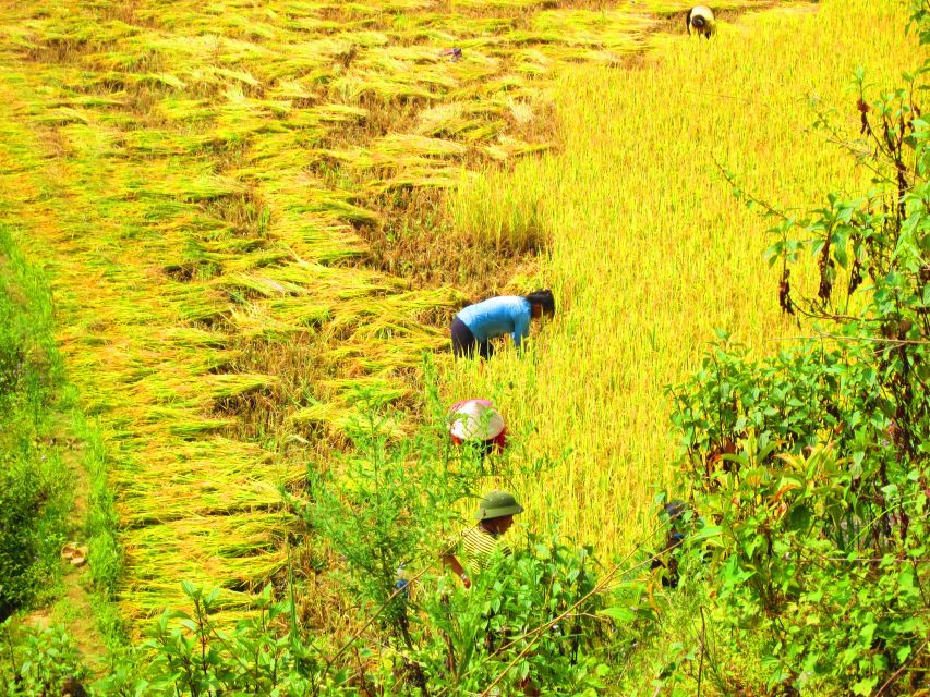From Sapa: Waterfalls, Trekking and Tribal Villages Tour - Village time at Ban Khoan and Ta Phin: meeting the Red Dzao