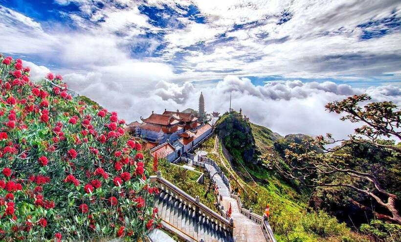 From Sapa:Cable Car Ticket To Fansipan Legend & Car Transfer - Check-in at Fansipan Peak: where your route starts