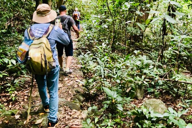 Full day Cat Ba National Park adventure Tour from Cat Ba island - Frog Pond and the Va Nuoc Trees: The Nature Stop That Feels a Bit Scientific