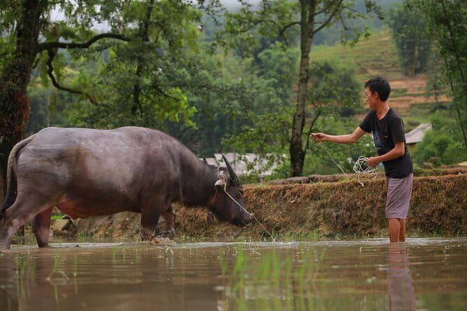 Full Day Cultural Tour in Sapa Terraces - Why This Sapa Terraces Tour Feels More Local Than Checklist Tourism